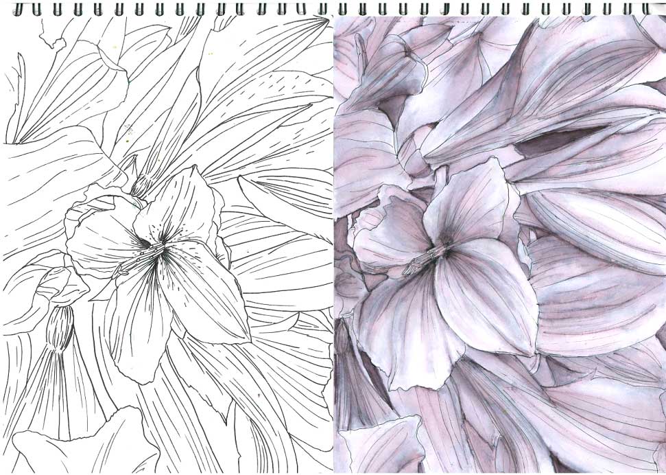 flowers drawing